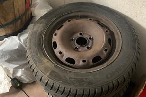 Gomme invernali polo