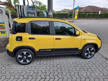 pandina cross hybrid