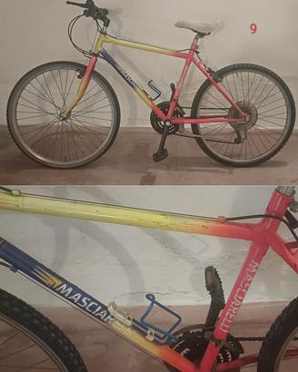 Bicicletta 26"