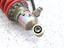 Immagine 9