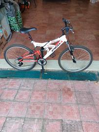 bicicletta