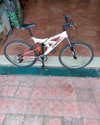 bicicletta