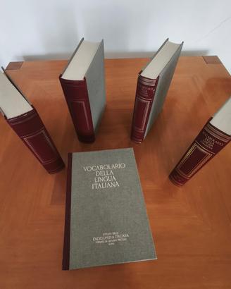Vocabolario della lingua italiana in cinque volumi