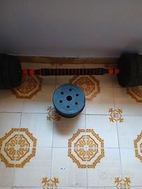 Manubri sport 25KG 