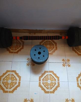 Manubri sport 25KG 