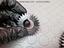 Immagine 17