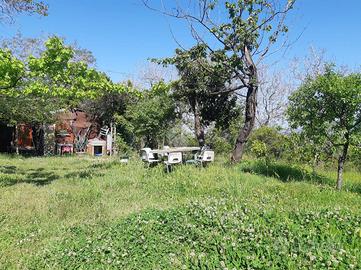 TER. AGRICOLO A NOCERA SUPERIORE