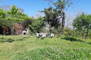 TER. AGRICOLO A NOCERA SUPERIORE