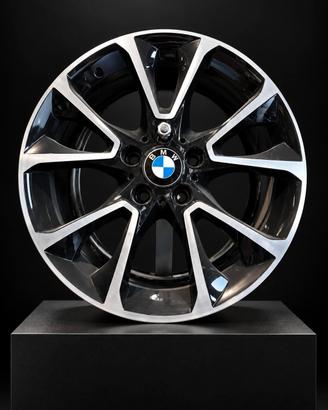 CERCHI IN LEGA BMW POLLICI