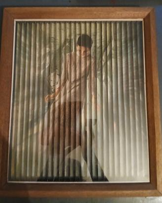 quadro 3d effetto lenticolare 