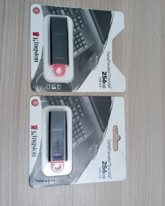 DATATRAVELER® EXSODIA 256GB USB 3.2