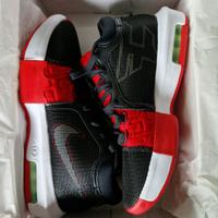 Nike LEBRON WITNESS VIII FAZE