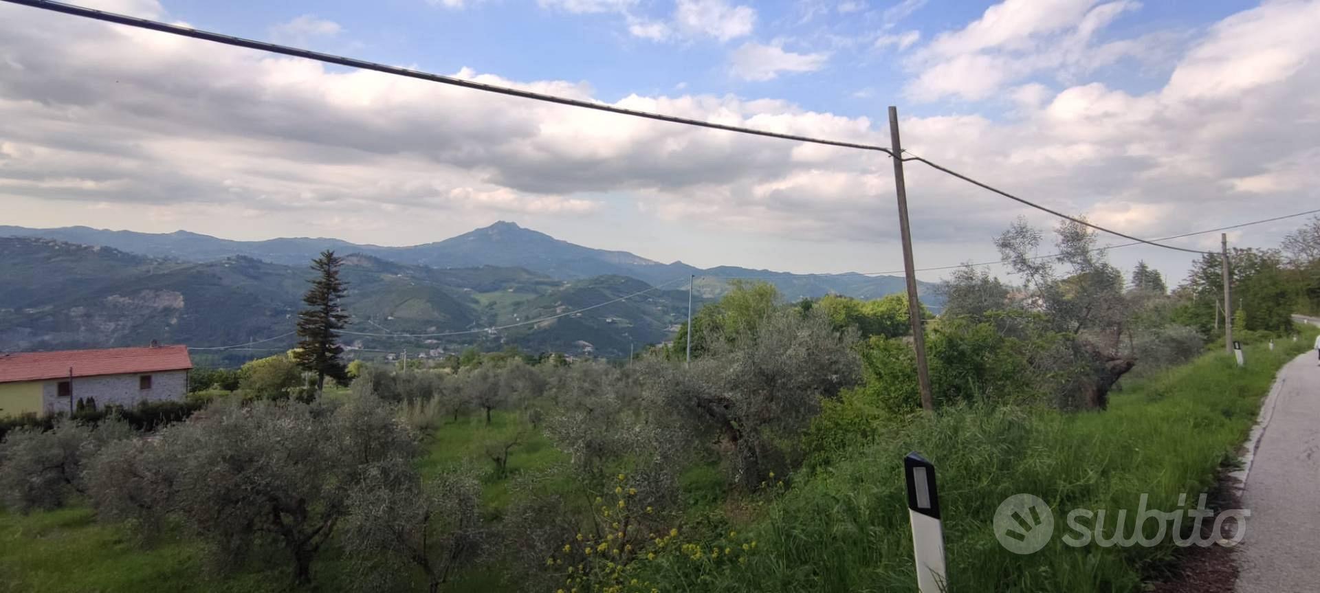 Terreno Agricolo - Ascoli Piceno - Vista 3