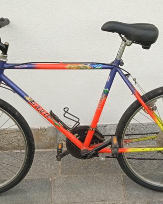 bicicletta