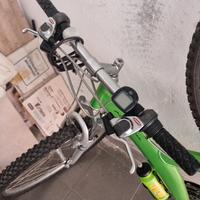 bici Pininfarina verde 