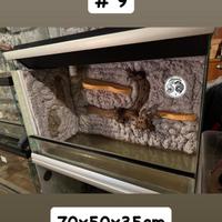 9. Teche/Terrari in vetro+sfondo 3D