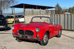 Fiat 1100 TV spider convertibile FUORISERIE Vettur
