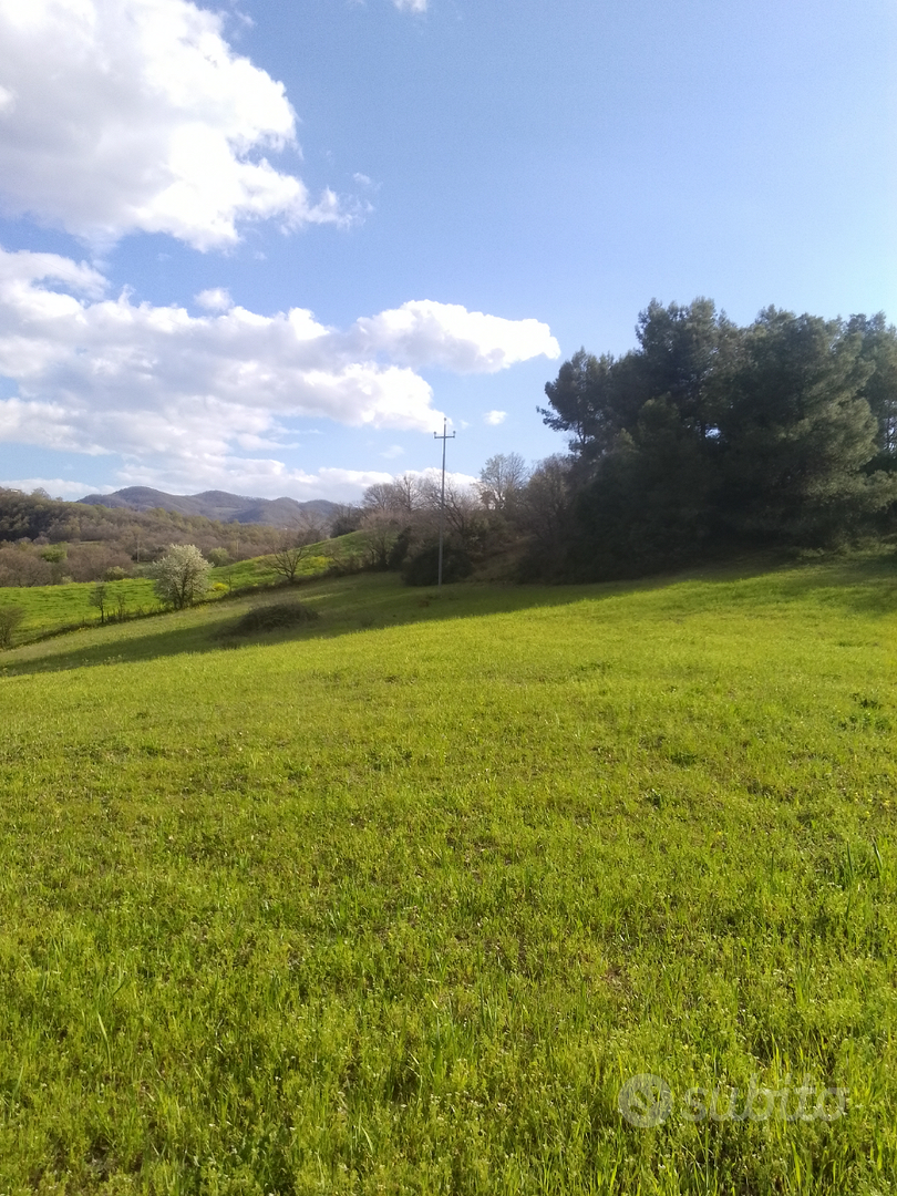 Terreni seminativi e boschivi - Vista 4
