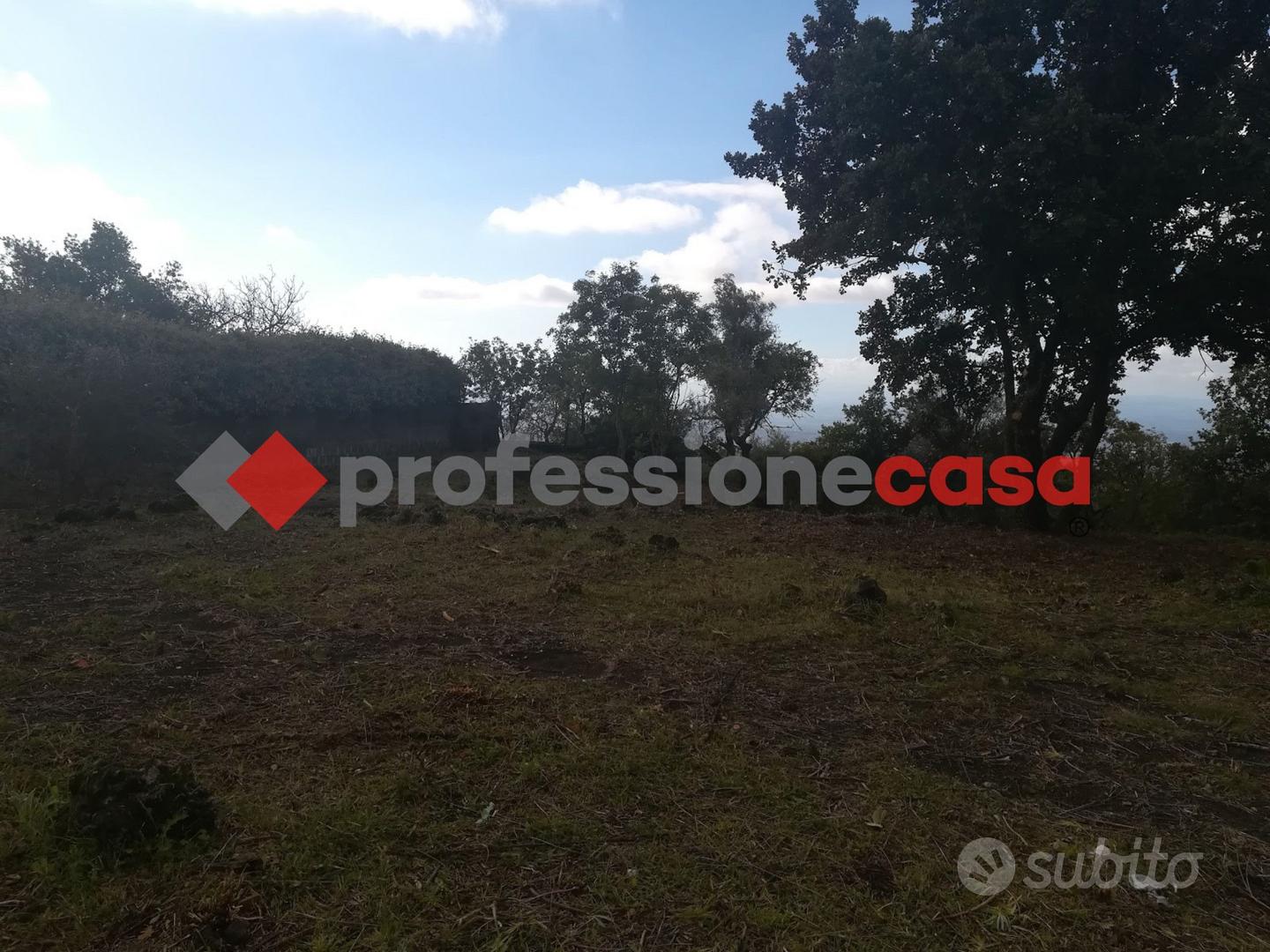 Belpasso - terreno agricolo - Vista 3