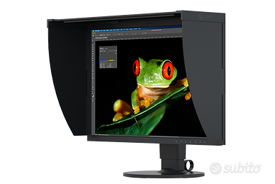 EIZO CG2420 Monitor LCD da 24.1", QHD Wide NUOVO