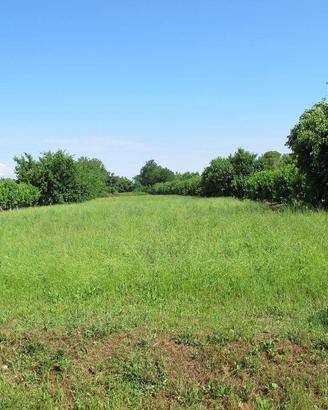 Terreno edificabile - disponibili altre soluzio...