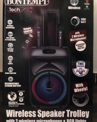 Cassa Amplificatore Bontempi Karaoke 2 Microfoni