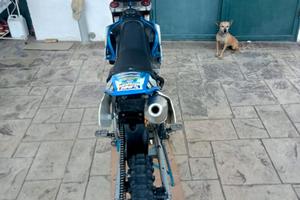 Polizia XP 65r