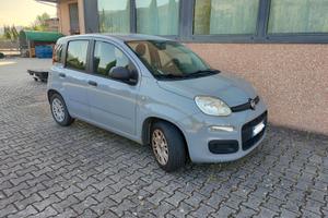 FIAT PANDA 1.2 COLORE TOP