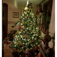Albero di Natale