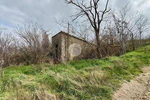 RUSTICO A MONTECALVO IN FOGLIA