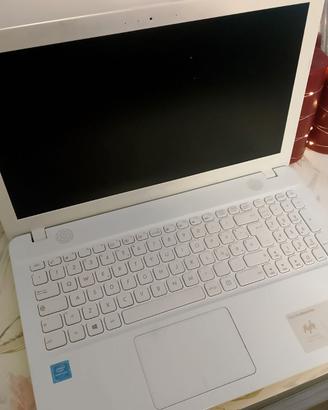Asus Vivobook max