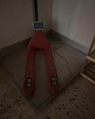Bilancia professionale