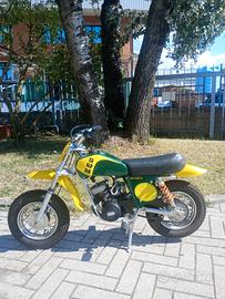 SWM minicross 50