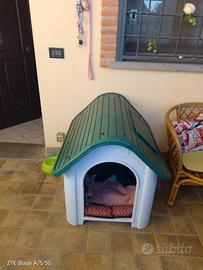 cuccia /casetta cane