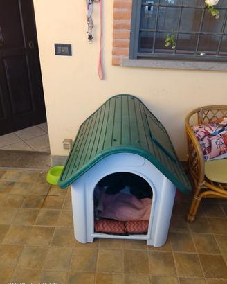 cuccia /casetta cane