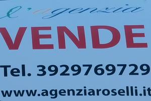 Borgo S Lorenzo capannone mq 1000