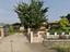 Immagine 2