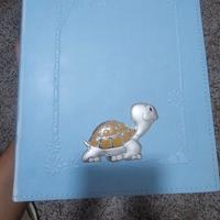 Compra la navetta inglesina il resto incluso