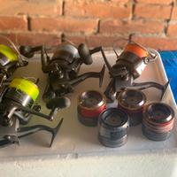 Mulinelli daiwa regal plus