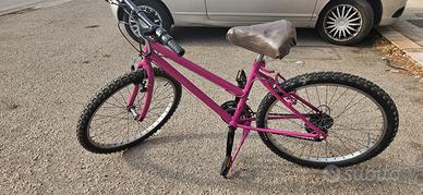 Mountain bike