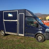 Van per il trasporto di 2 cavalli - Opel Movano