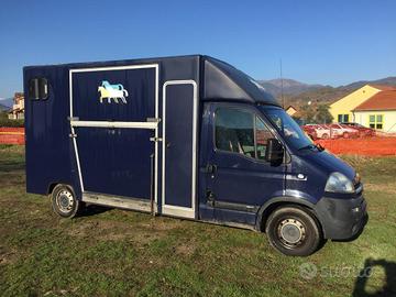 Van per il trasporto di 2 cavalli - Opel Movano