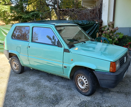 Fiat panda young