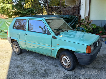 Fiat panda young