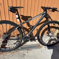 Mountain Bike Cannondale F29 carbon