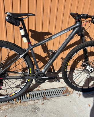 Mountain Bike Cannondale F29 carbon