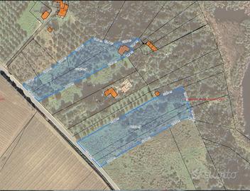 Terreno GORGHI TONDI