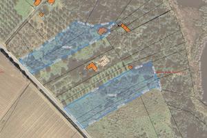 Terreno GORGHI TONDI