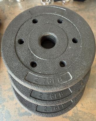 3 dischi per bilanciere palestra 2,76 LB