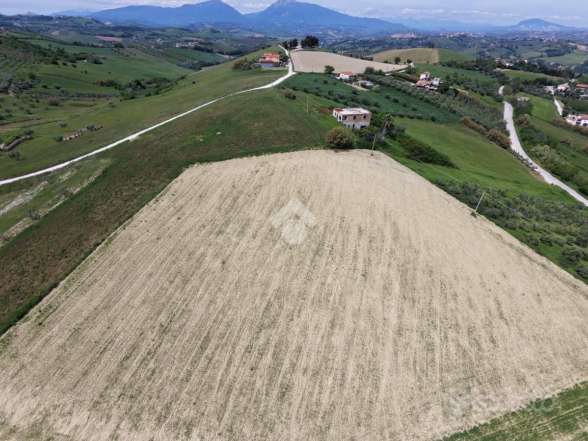 TER. AGRICOLO A BELLANTE - Altro